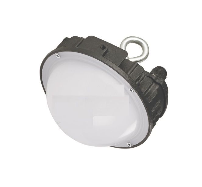 KTI17001002TBNM — EMERGENCY LIGHT PROLITE PEL LED 3W NMBULKHEAD